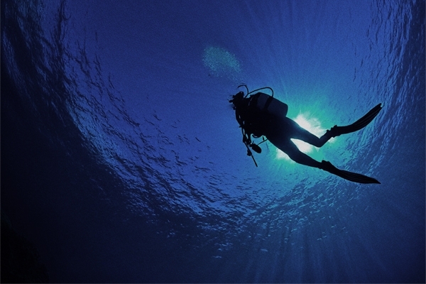Diver